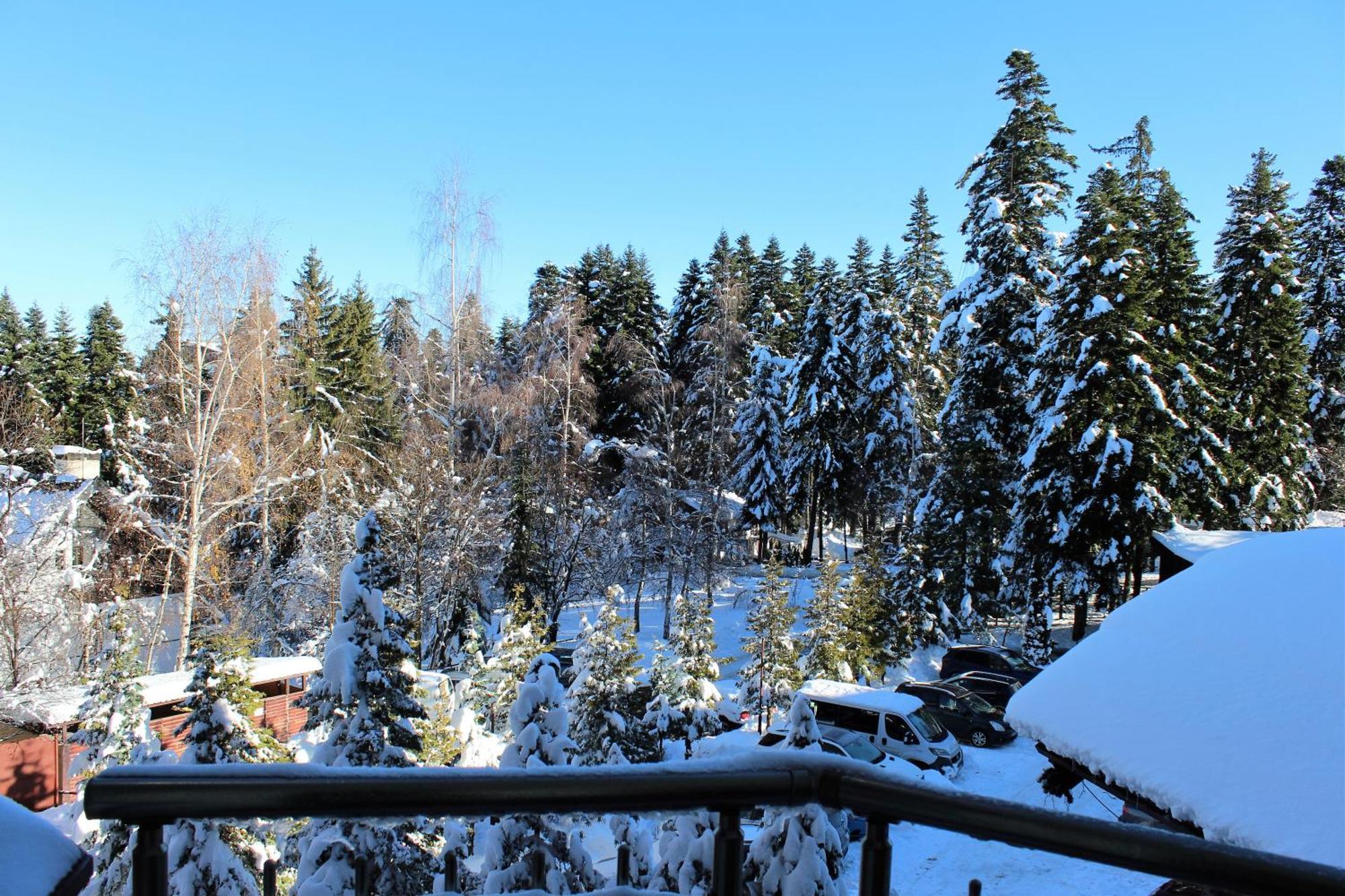 Pm Services Flora Apartments Borovets Eksteriør bilde